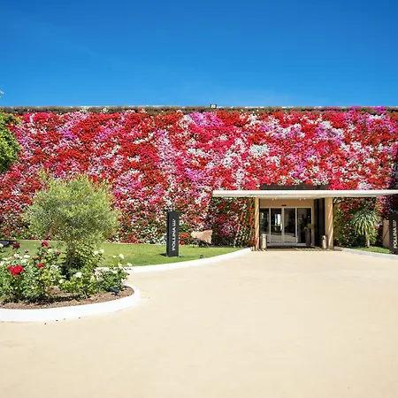 Mangia's Pollina ホテル Finale